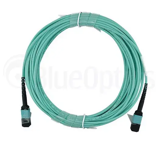 Сетевой кабель BlueOptics 00VX005-IB-BO Photo 5
