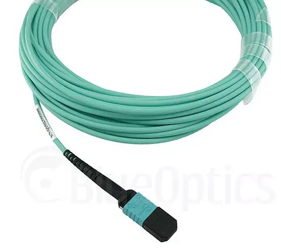 Network Cable BlueOptics 00VX005-BO Photo 2