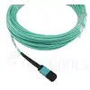 Network Cable BlueOptics 00VX005-BO Photo 2