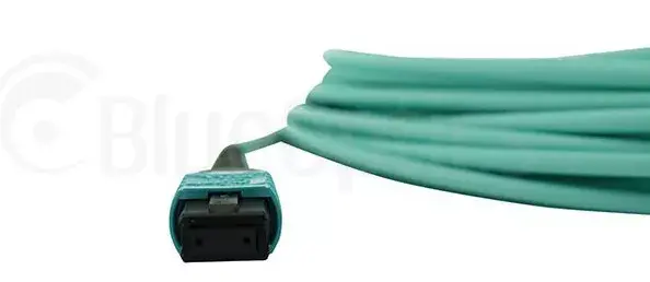 Network Cable BlueOptics 00VX005-BO Photo 4