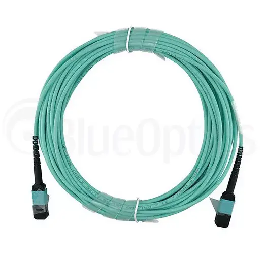 Network Cable BlueOptics 00VX005-BO Photo 5