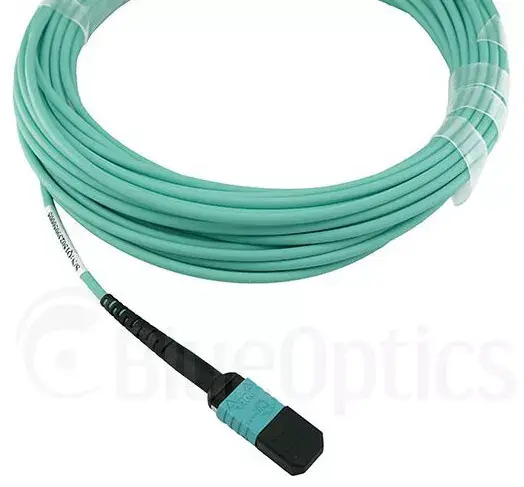 Сетевой кабель BlueOptics 00VX005-BN-BO Photo 2