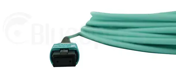 Сетевой кабель BlueOptics 00VX005-BN-BO Photo 4