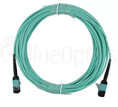 Сетевой кабель BlueOptics 00VX005-BN-BO Photo 5