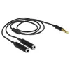 Audio kabelis DeLOCK 65575 Photo 2