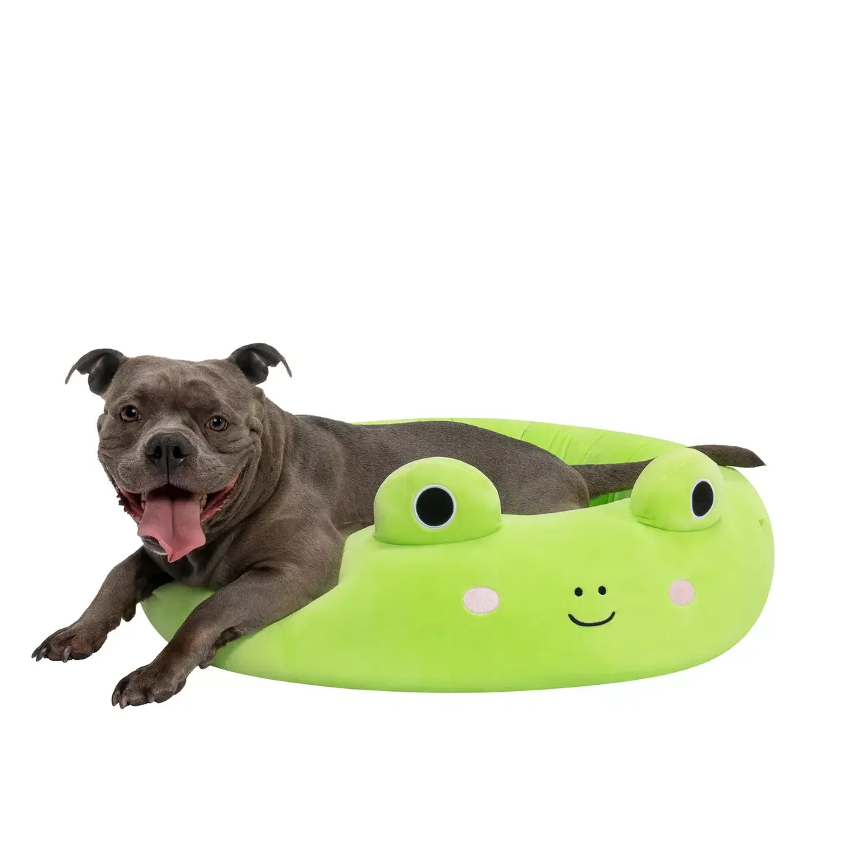 Pet bed Sourcing SQUISHMALLOWS Wendy The Frog 75 cm Photo 4