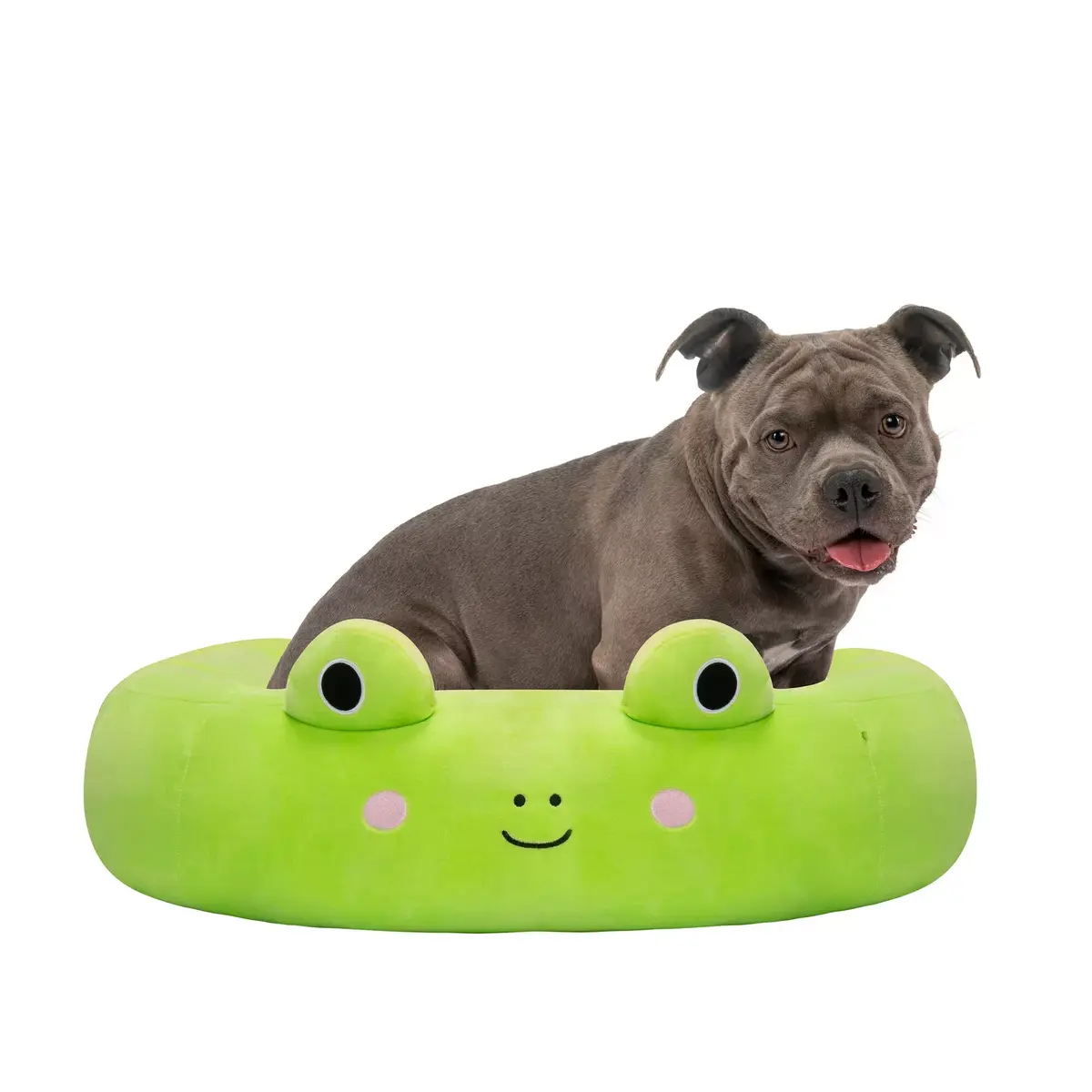 Pet bed Sourcing SQUISHMALLOWS Wendy The Frog 75 cm Photo 6