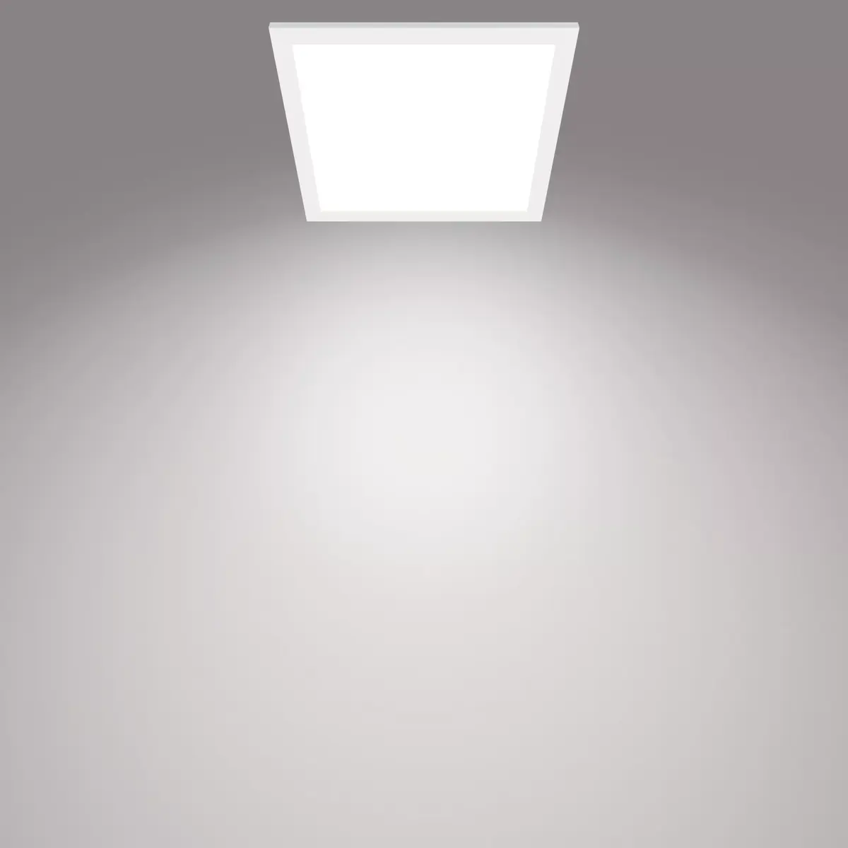Philips Functional Panel Ceiling Light 12 W Photo 2