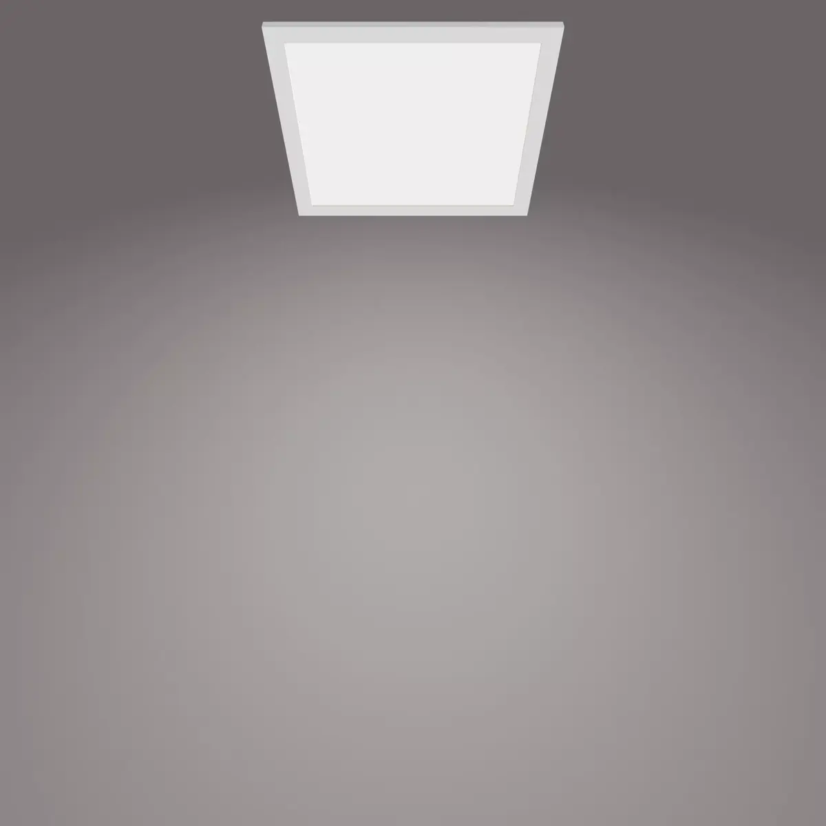 Philips Functional Panel Ceiling Light 12 W Photo 3