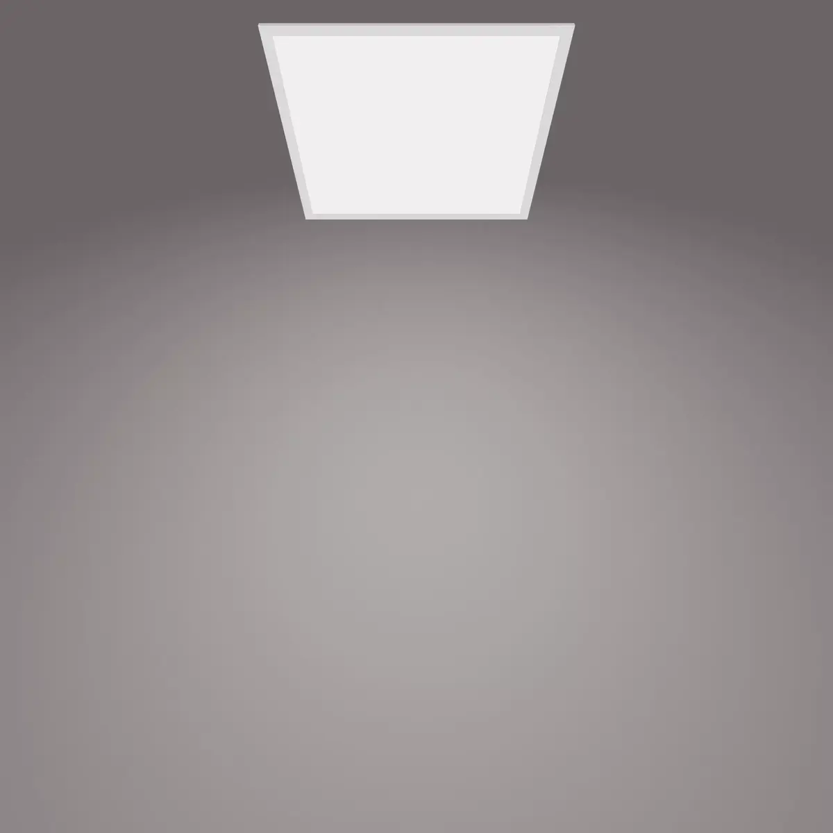Потолочный светильник Philips Functional Panel 36 Вт Photo 3