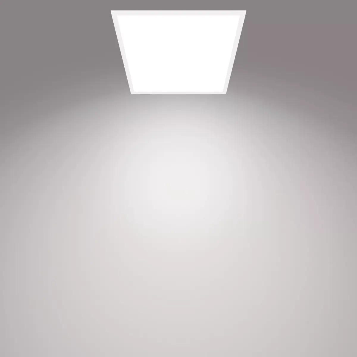 Потолочный светильник Philips Functional Panel 36 Вт Photo 4