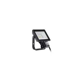 Floodlight Philips 20 W LED, black, beam angle 120°