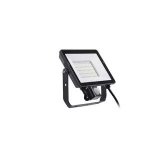 Floodlight Philips 30W LED 4000K 2850 lm Black, beam angle 120°