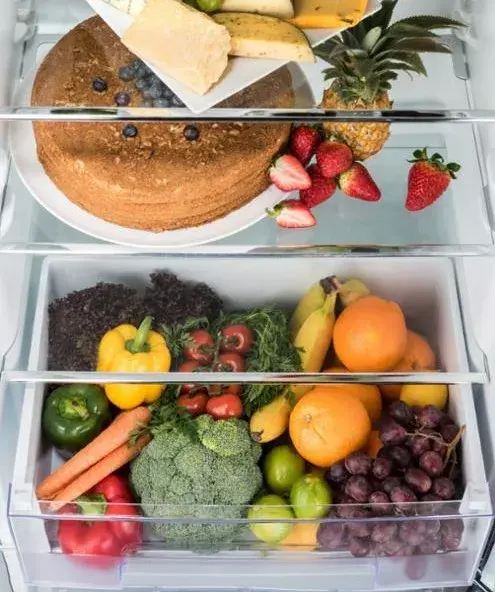Refrigerator SCHLOSSER BC258VX Photo 3
