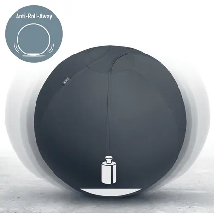 Leitz Ergo Active Sitting Ball 75cm Photo 2