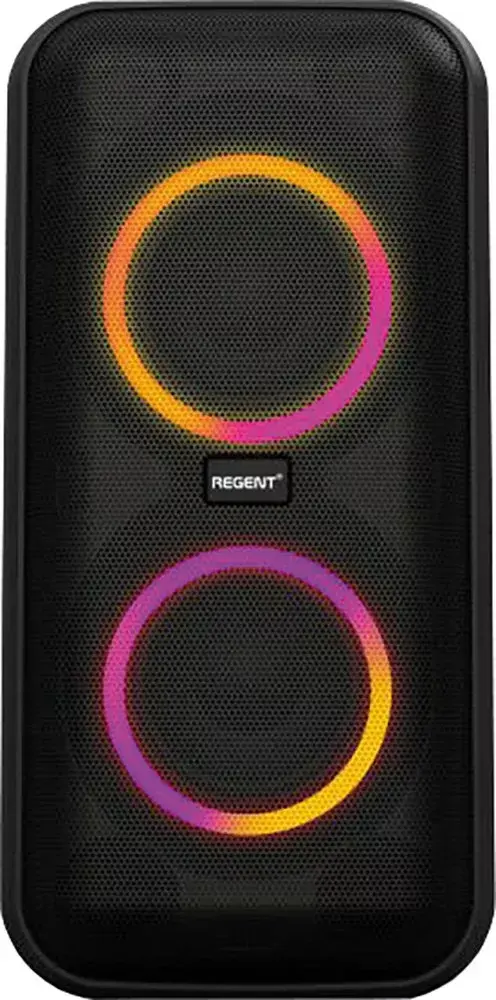 Ferguson REGENT Power Audio 400BT Bluetooth-колонка Photo 6