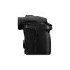 MILC Panasonic Lumix S5IIX Photo 6