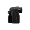 MILC Panasonic Lumix S5IIX Photo 7