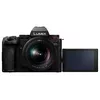 MILC Panasonic Lumix S5II Photo 3
