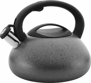 Kettle Florina Lava by Florina, stainless steel stovetop kettle, 2.5 L, gray