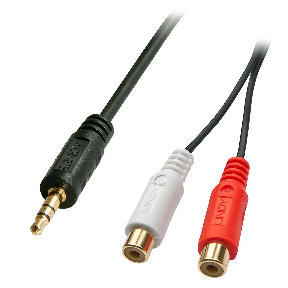 AV Adapter Cable Lindy 0.25m 3.5mm Male to 2 x RCA Female Photo 2