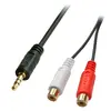 AV Adapter Cable Lindy 0.25m 3.5mm Male to 2 x RCA Female Photo 2