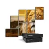 Matrox QuadHead2Go Q155 Multi-Monitor Kontrolieris Photo 6