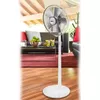 Вентилятор Unold Silverline Silver, White Photo 4