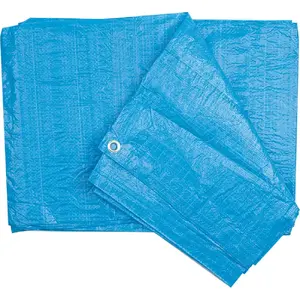 Protective Sheet Vorel 85060, Polypropylene (PP), Blue, 5 m × 8 m, 3.2 kg
