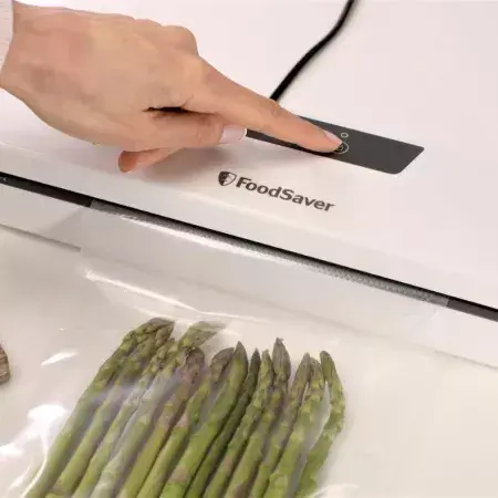 Вакуумный упаковщик FoodSaver VS0290X Photo 4