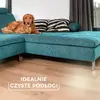 Suka VILEDA Always Clean PET PRO — rokturis 130 cm Photo 5
