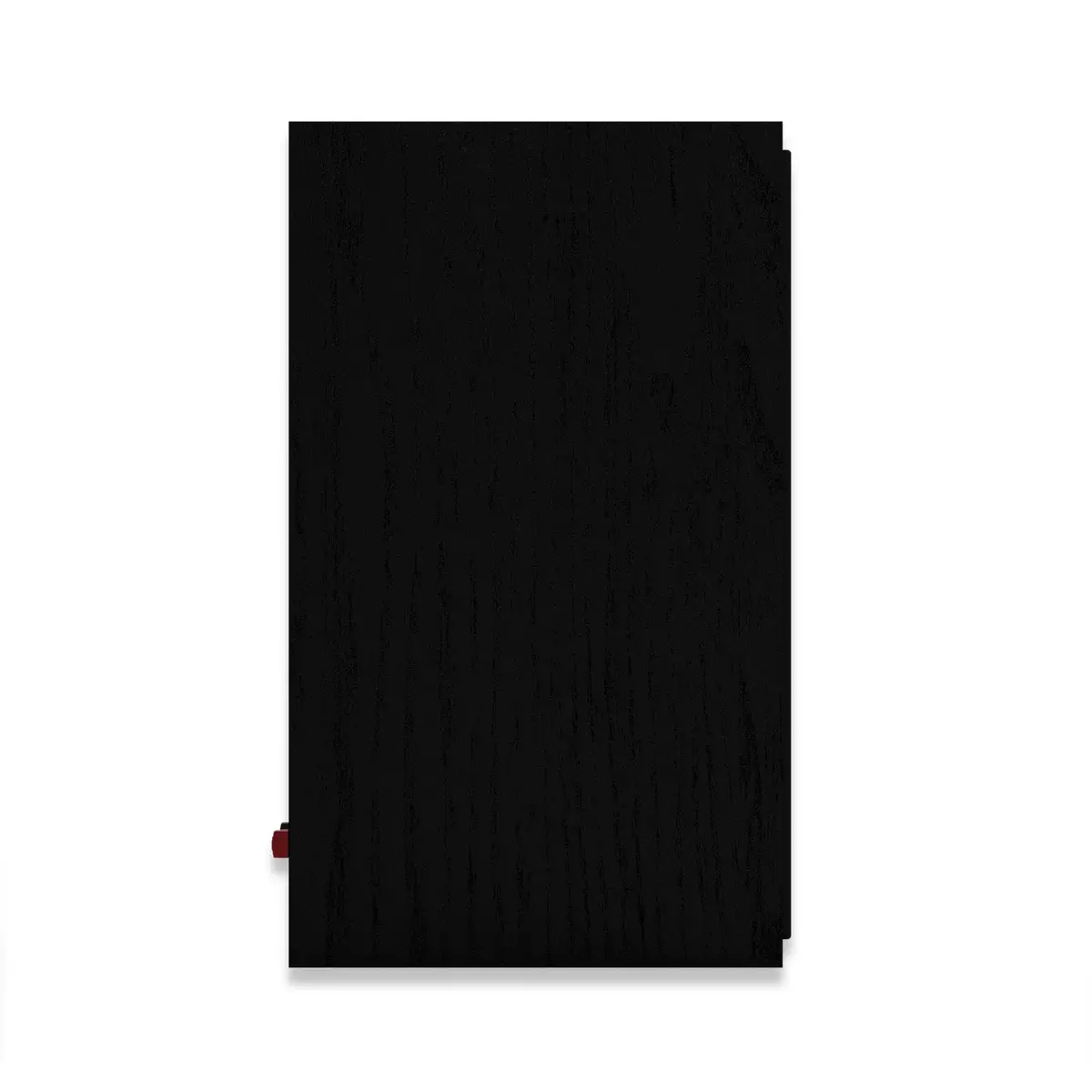 KLIPSCH R-50PM 2-полосная активная полочная колонка Photo 5