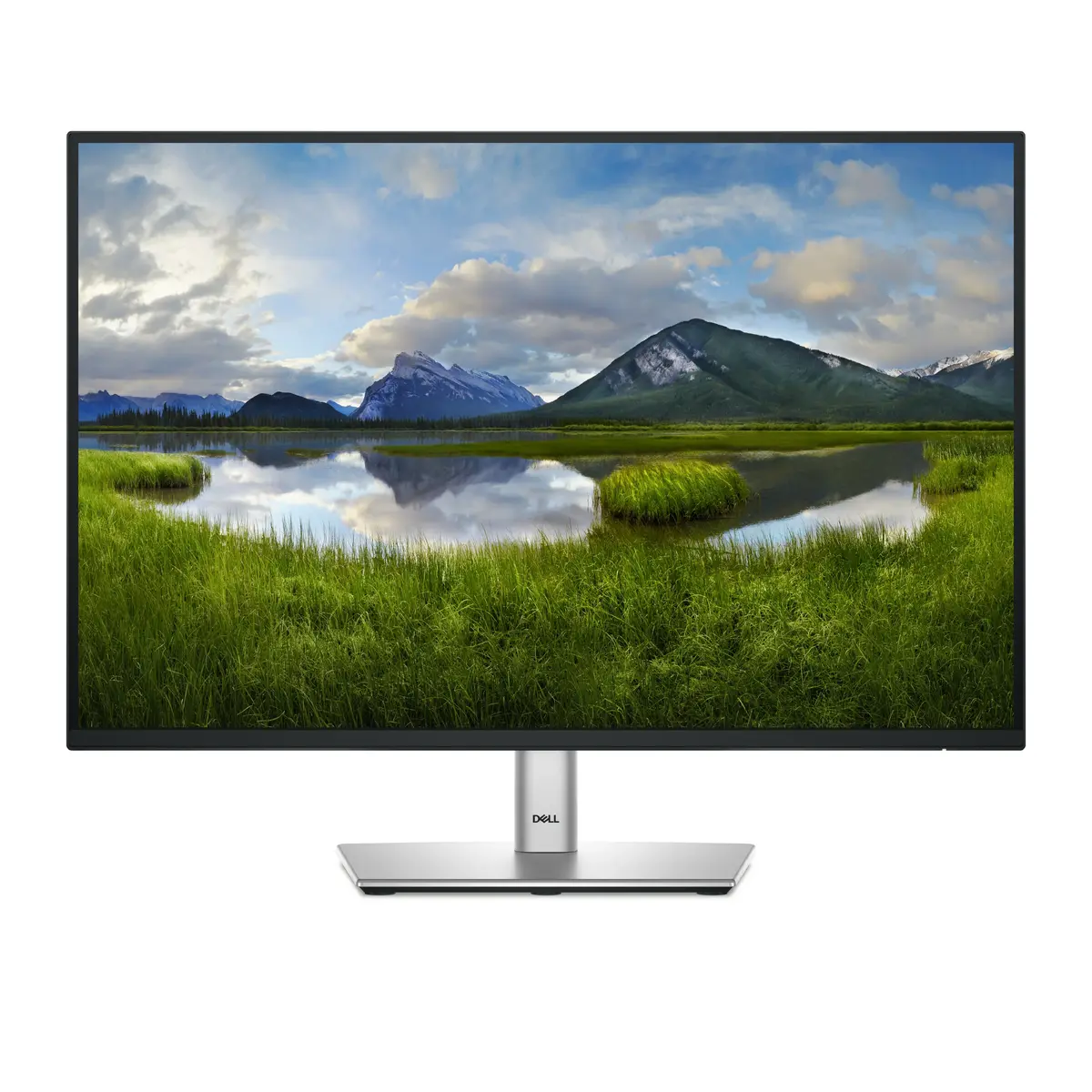 Dell Pro Plus P2425 24.1