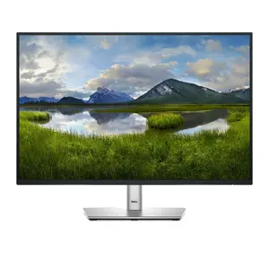 Dell Pro Plus P2425 24.1-inch WUXGA LCD Computer Monitor 1920 x 1200 Pixels 16:10 Aspect Ratio Built-in USB Hub VESA Mountable Black