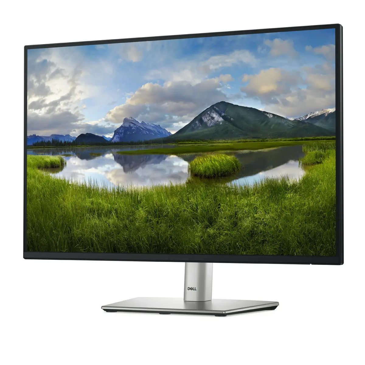 Dell Pro Plus P2425 Computer Monitor Photo 2