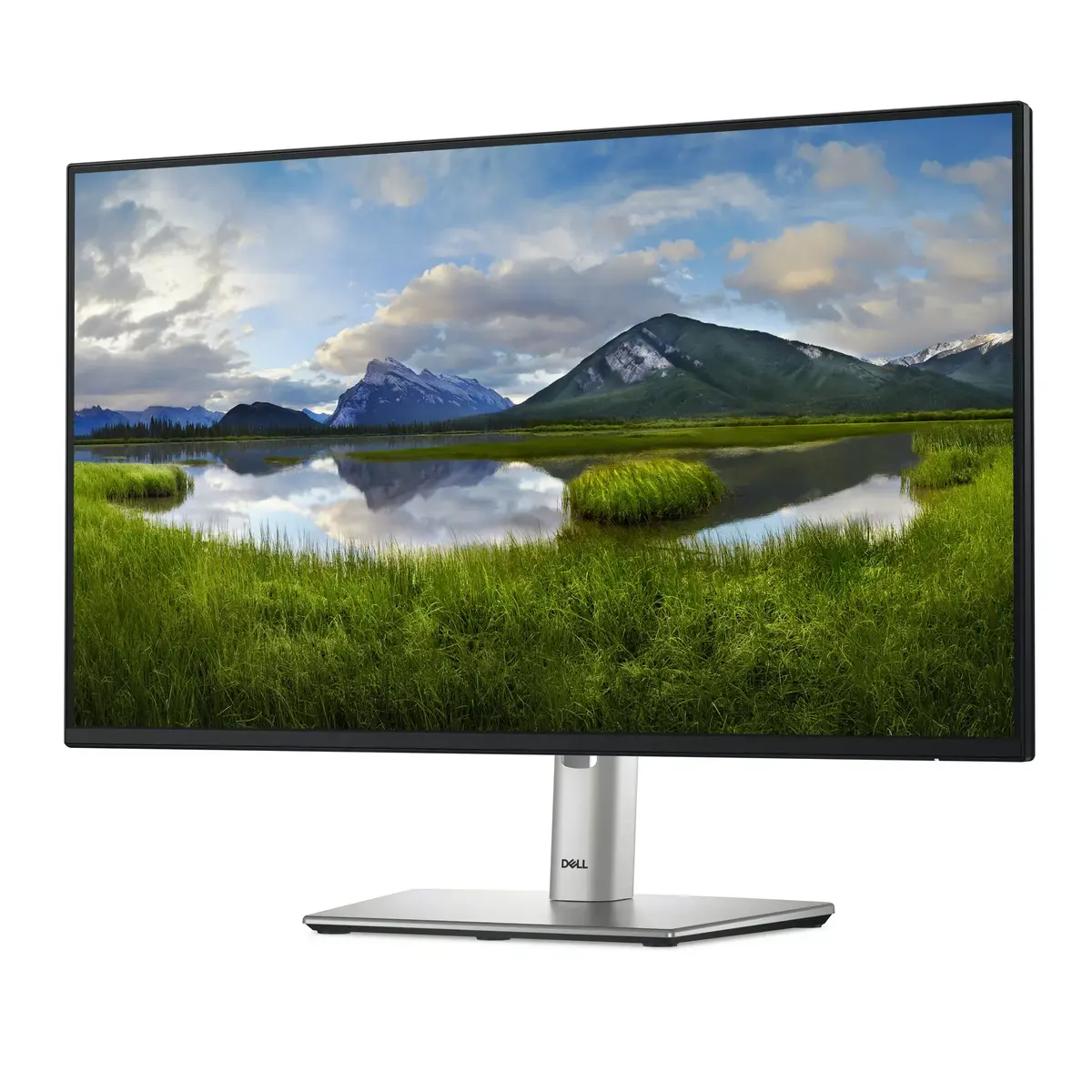 Монитор DELL P Series P2425H Photo 2