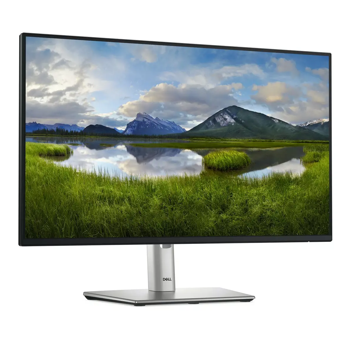 Монитор DELL P Series P2425H Photo 3