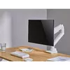 Monitoru galda stiprinājums Equip 17"-49" Photo 7