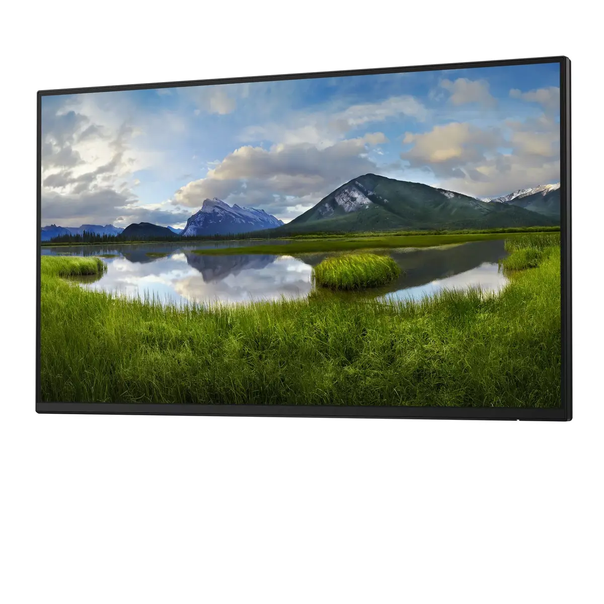 Монитор DELL P Series P2425H Photo 2