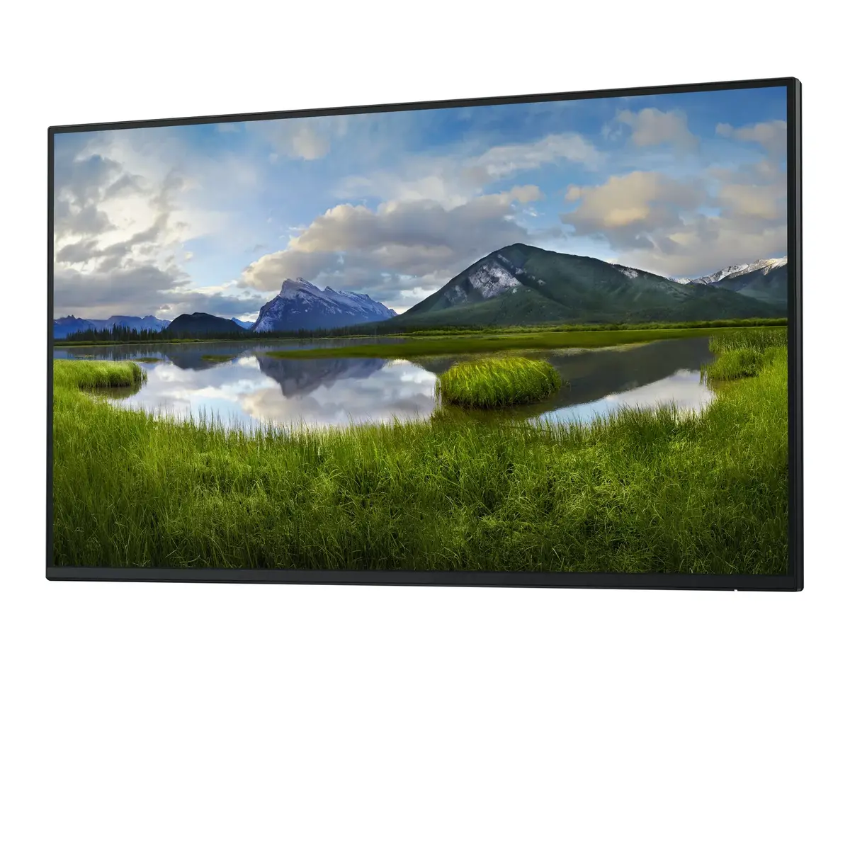 Компьютерный монитор DELL P Series P2725H Photo 2