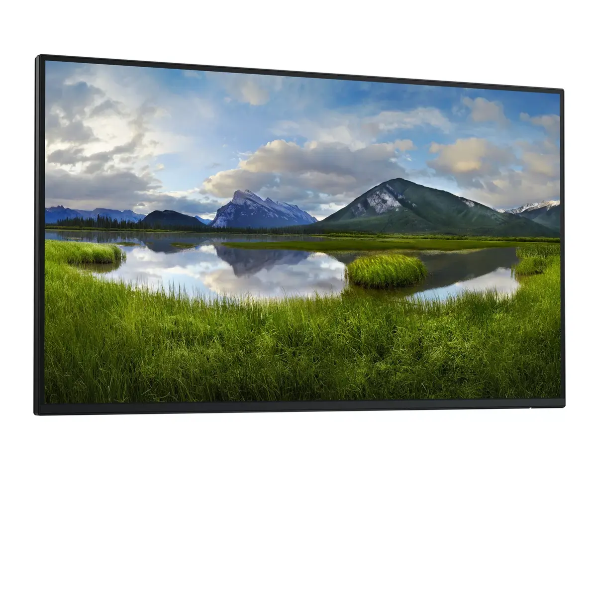 Компьютерный монитор DELL P Series P2725H Photo 3