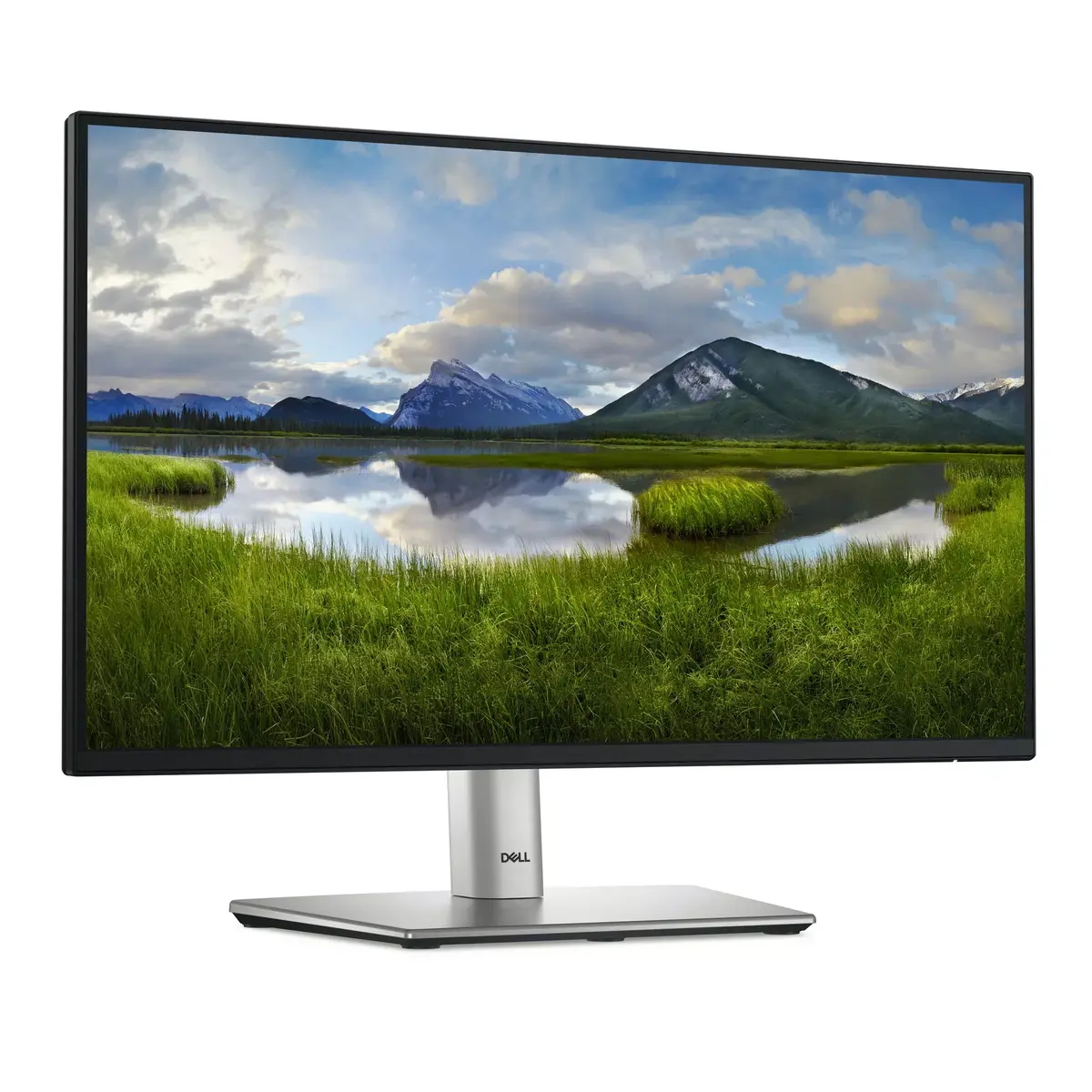 Монитор DELL P Series P2225H Photo 3