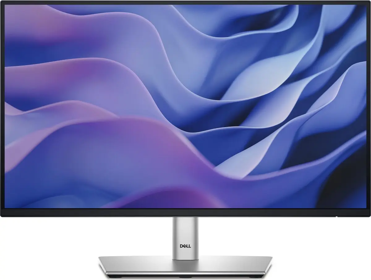 Monitors DELL P Series P2225H Photo 13