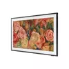 Television Samsung QE43LS03DAU Photo 8