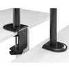 Monitora galda stiprinājums MACLEAN MC-753N 17–32" Photo 8