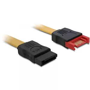 SATA cable DeLOCK 82666 0.1 m Male/Female