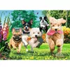 Пазл TREFL Premium Plus Tea Time 1000 элементов Photo 2