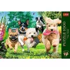 Пазл TREFL Premium Plus Tea Time 1000 элементов Photo 3