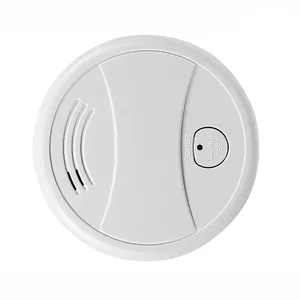 Smoke detector Spring 0713239860351 WiFi photoelectric white