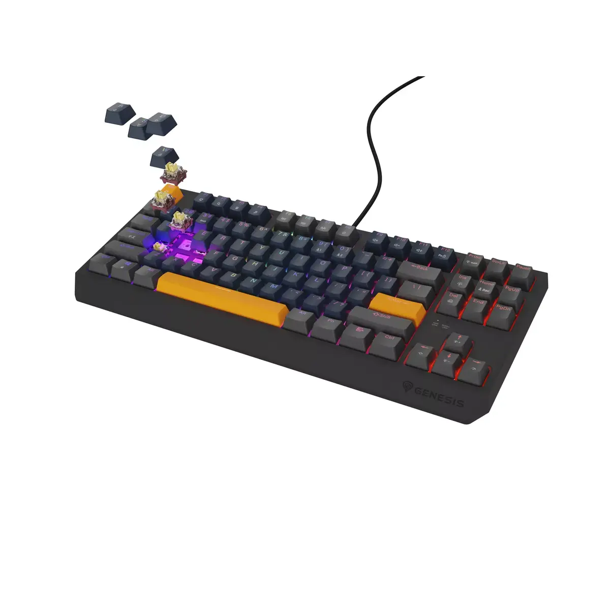 Клавиатура GENESIS THOR 230 TKL Photo 3
